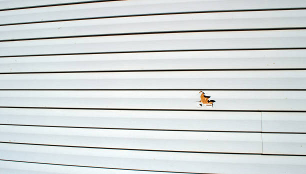 Best Aluminum Siding Installation  in Waterville, ME
